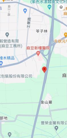 台南麻豆農地-9