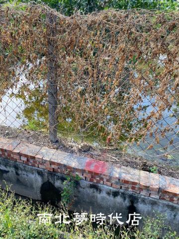 台南麻豆農地-5