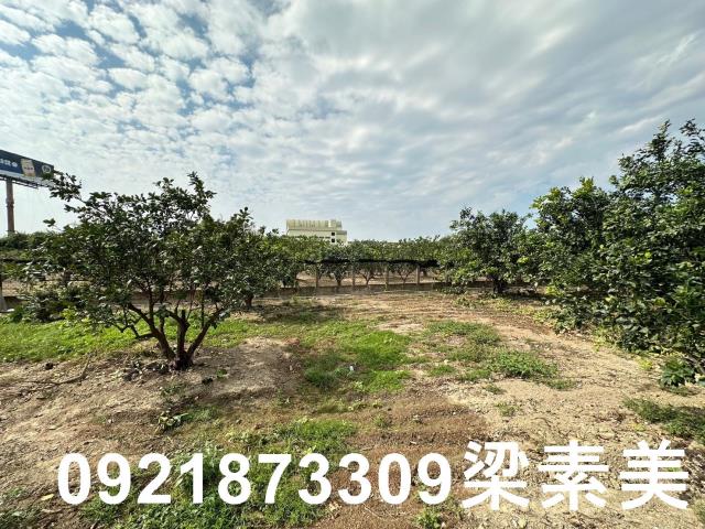 台南麻豆農地-9