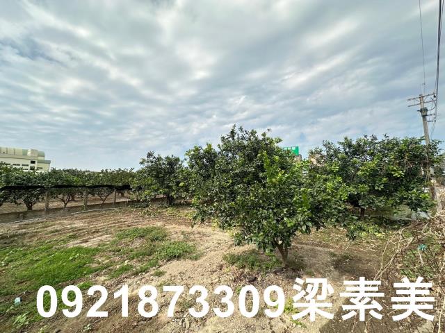 台南麻豆農地-10