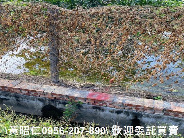 台南農地-5