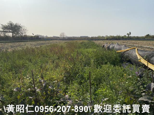 台南安南農地-0