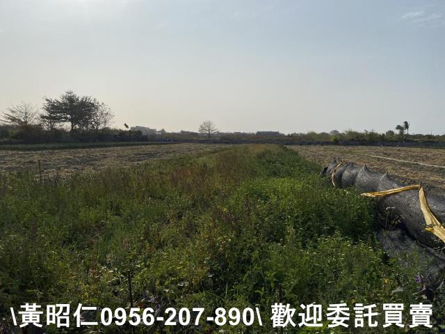 台南安南農地-1