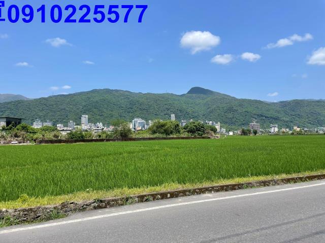 礁溪農地-3