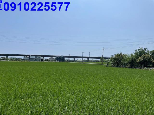 礁溪農地-5
