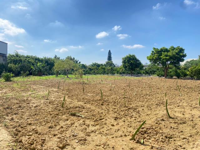 桃園平鎮農地-0