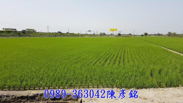 虎尾農地-3