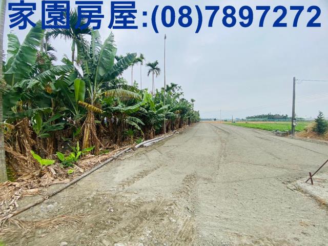 屏東新園農地-0