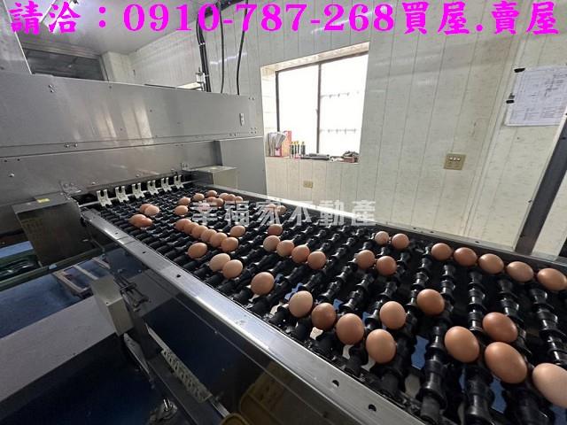 台南鹽水農地-3