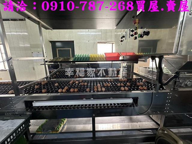 台南鹽水農地-4