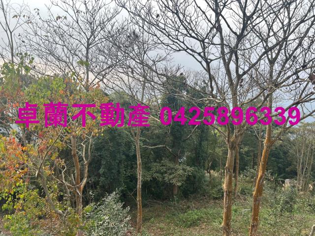 苗栗農地-4