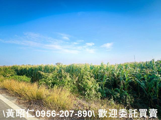 新營農地-3