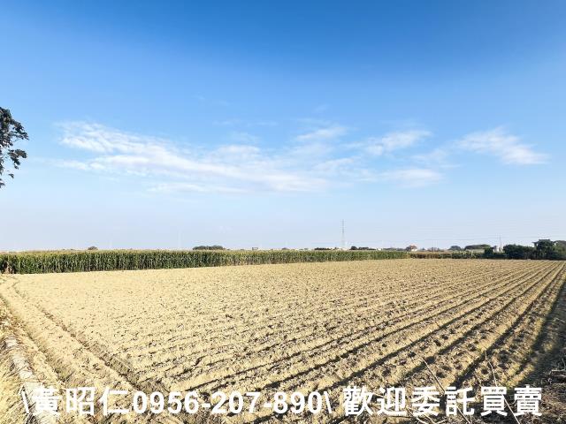 新營農地-4