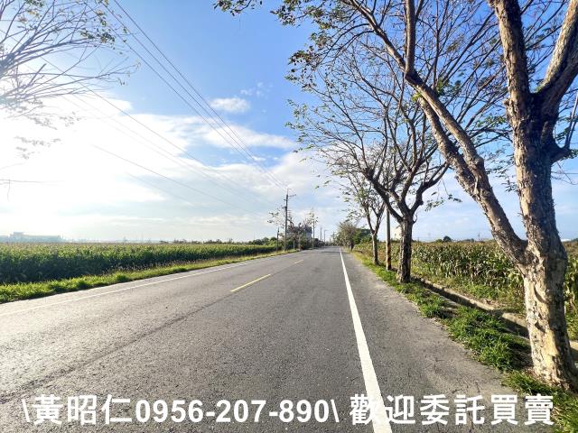 新營農地-5