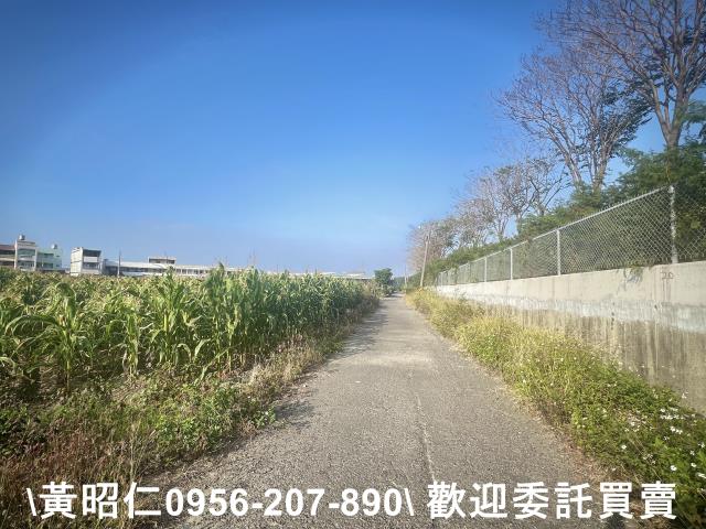台南農地-3