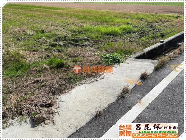 水林農地-2