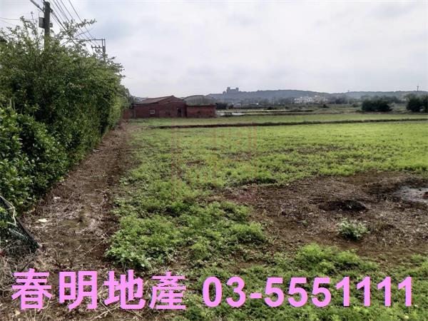 新竹新豐農地-6