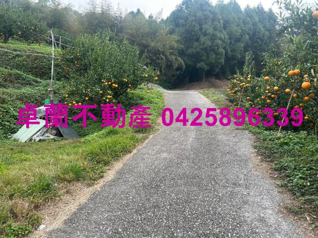 大湖山坡地-3