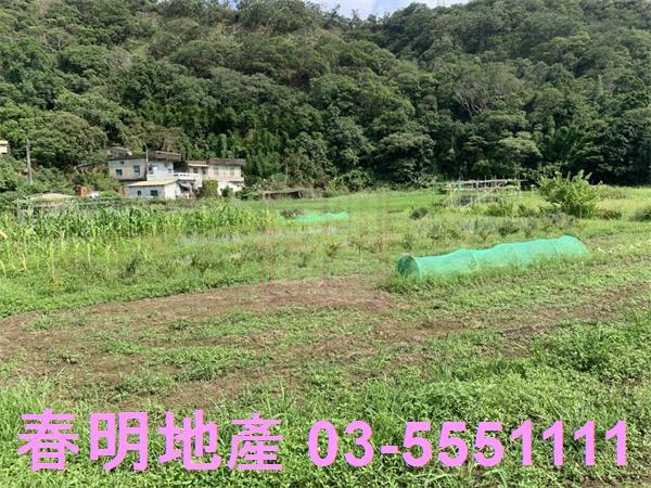 新竹新埔農地-4