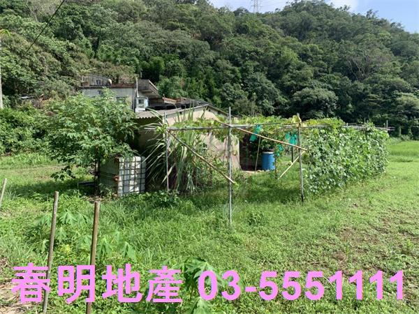 新竹新埔農地-7