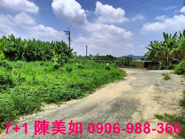 高雄大社農地-0