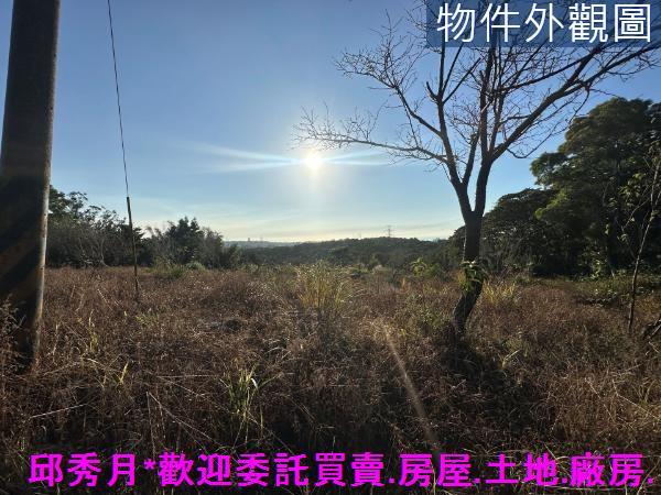 三芝農地-3