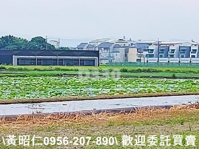 台南農地-9