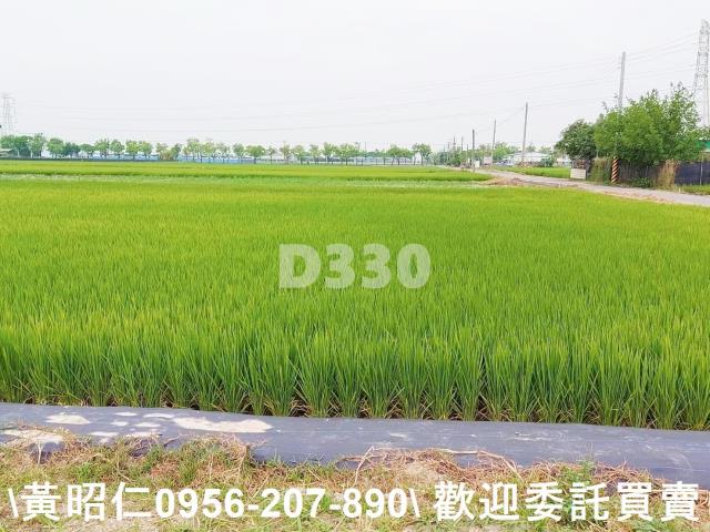 台南農地-6