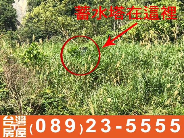台東農地-3