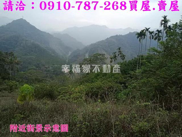 嘉義番路農地-3