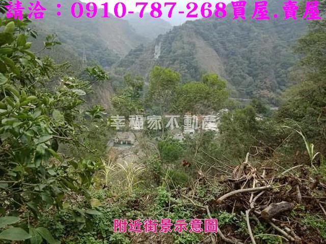 嘉義番路農地-4