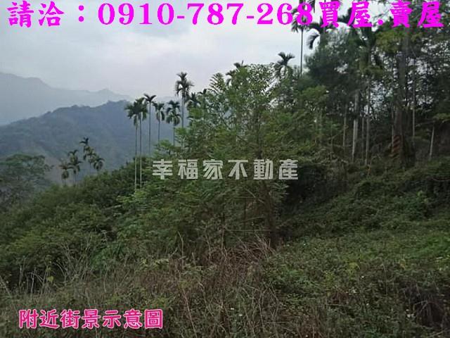 嘉義番路農地-5