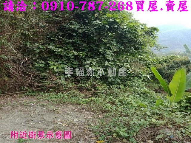 嘉義番路農地-6