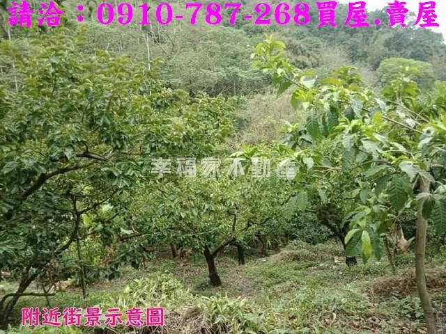 嘉義番路農地-7