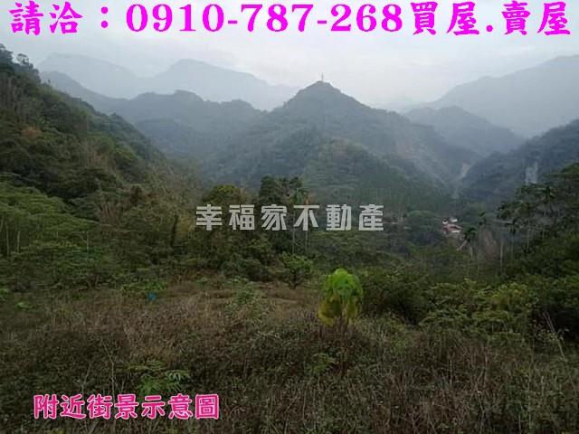 嘉義番路農地-8