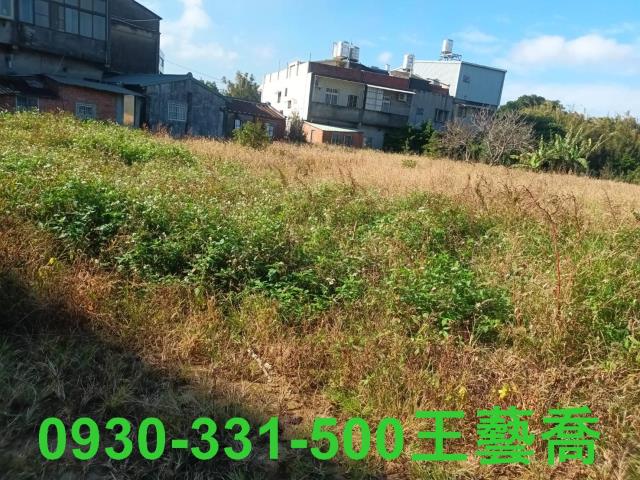 桃園農地-3