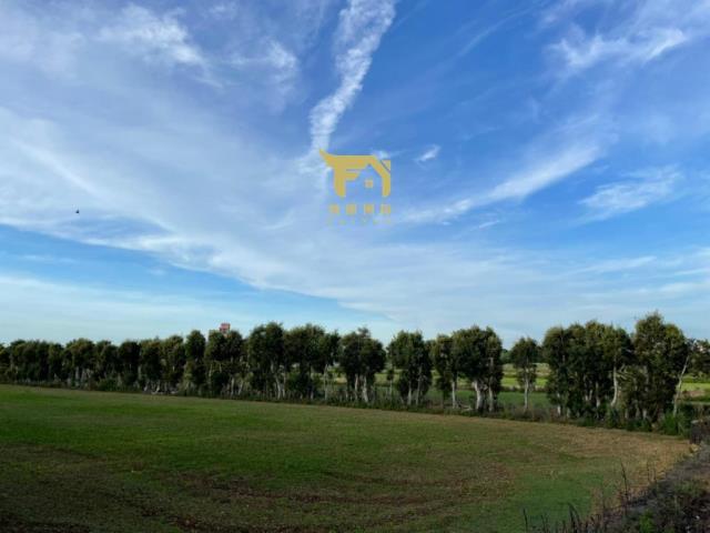楊梅農地-5