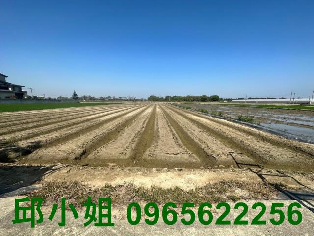 嘉義太保農地-0
