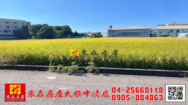 大雅農地-3