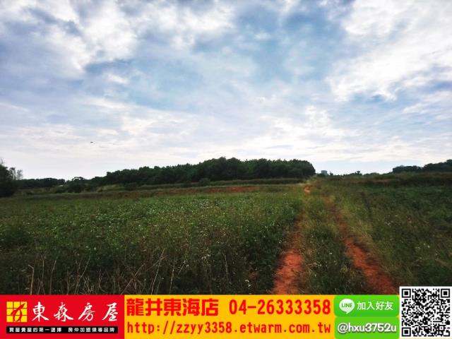 台中南屯農地-0