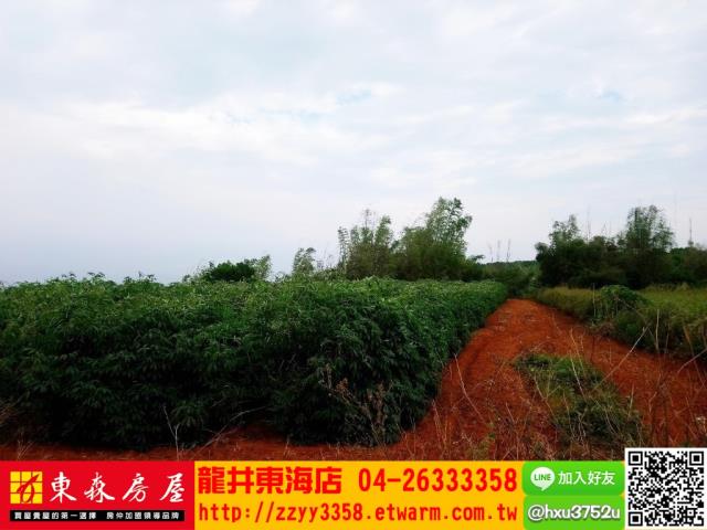 台中南屯農地-2