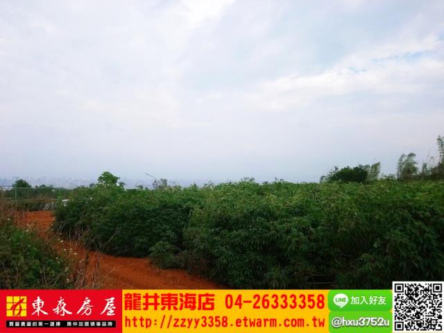 台中南屯農地-3