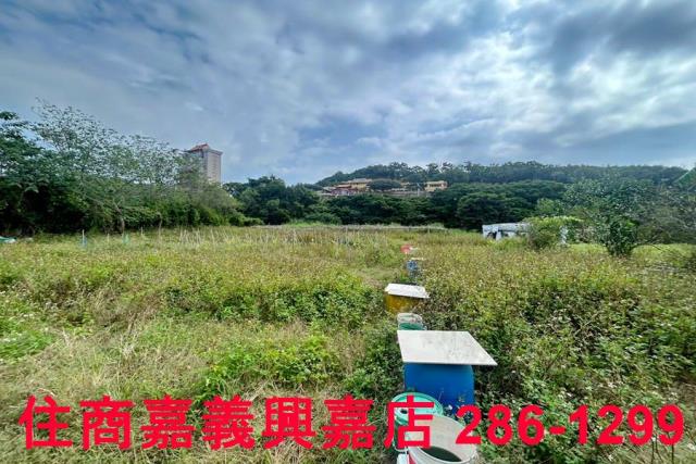 新竹農地-2