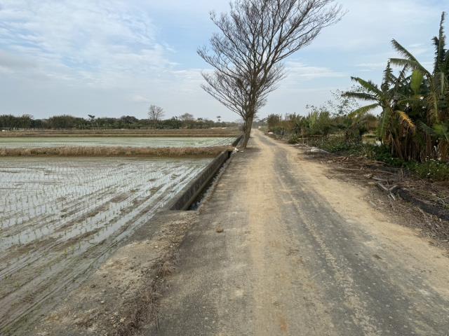 桃園楊梅農地-0