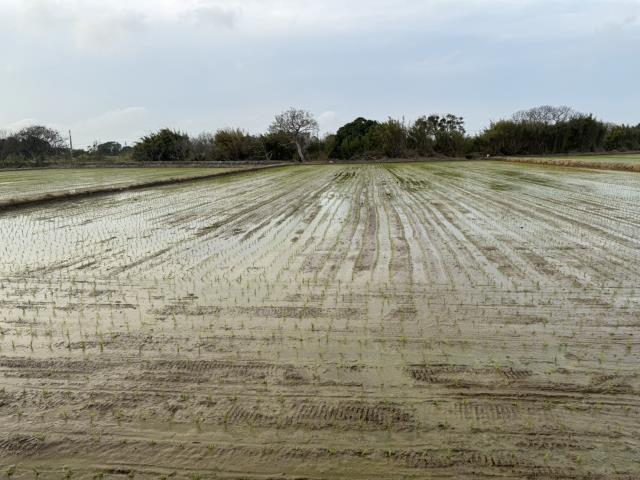 桃園楊梅農地-1