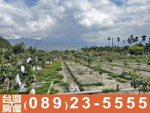 內埔農地-2