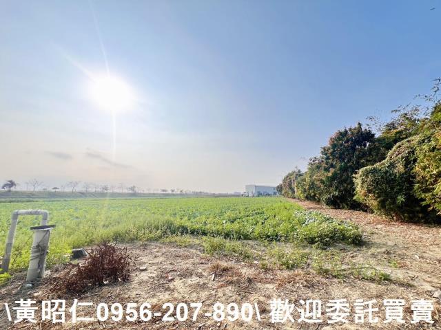 台南仁德農地-0