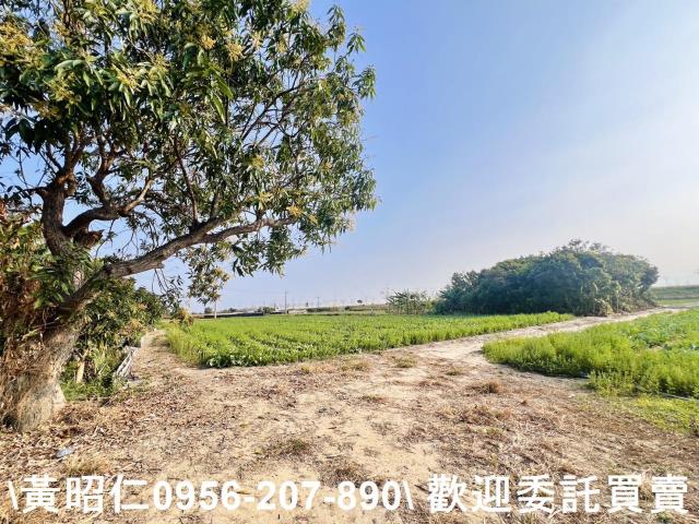 台南仁德農地-1