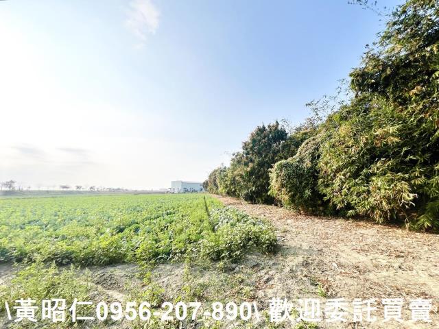台南仁德農地-3