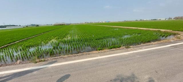嘉義農地-6